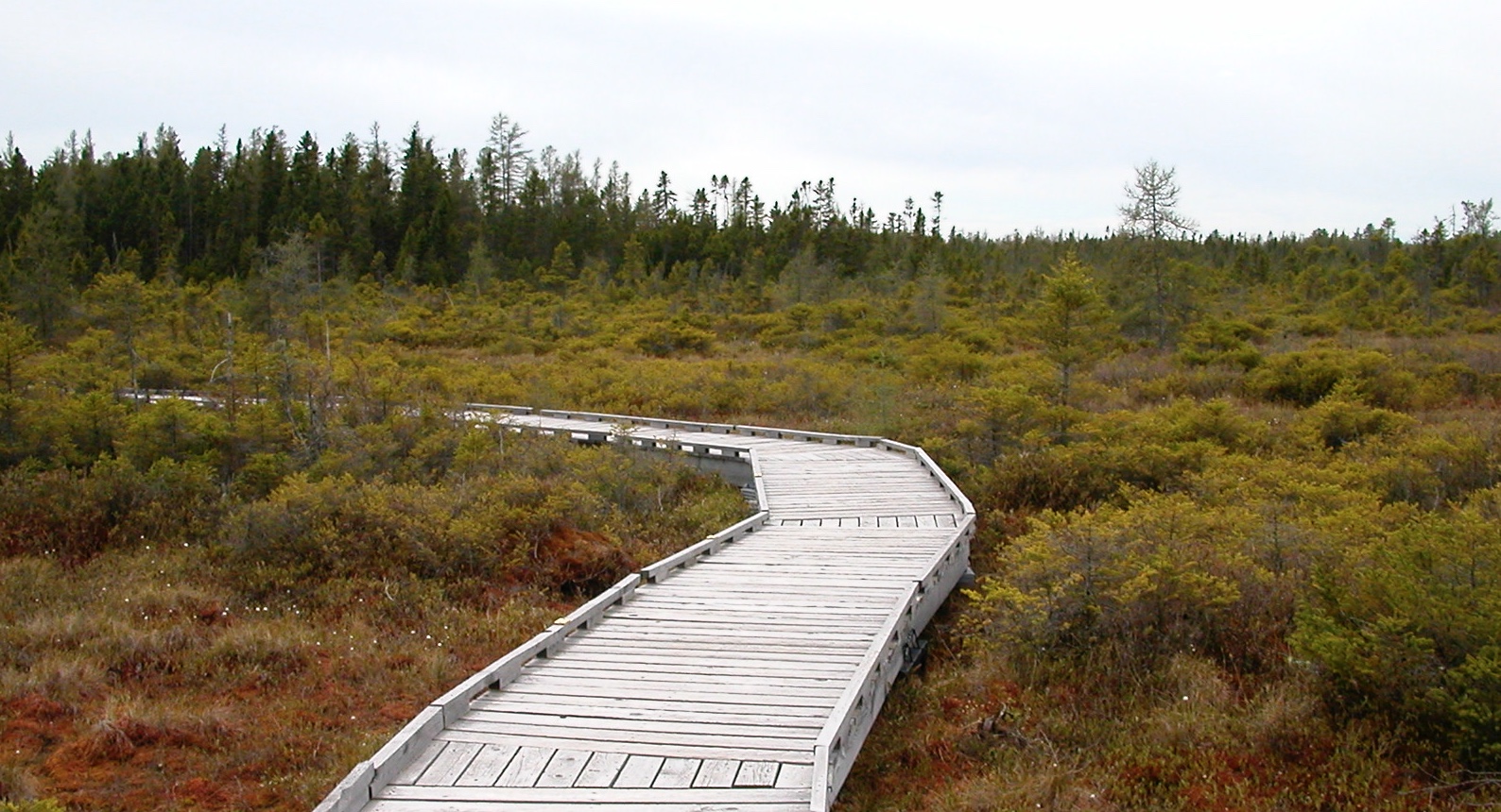 disabilities and climate